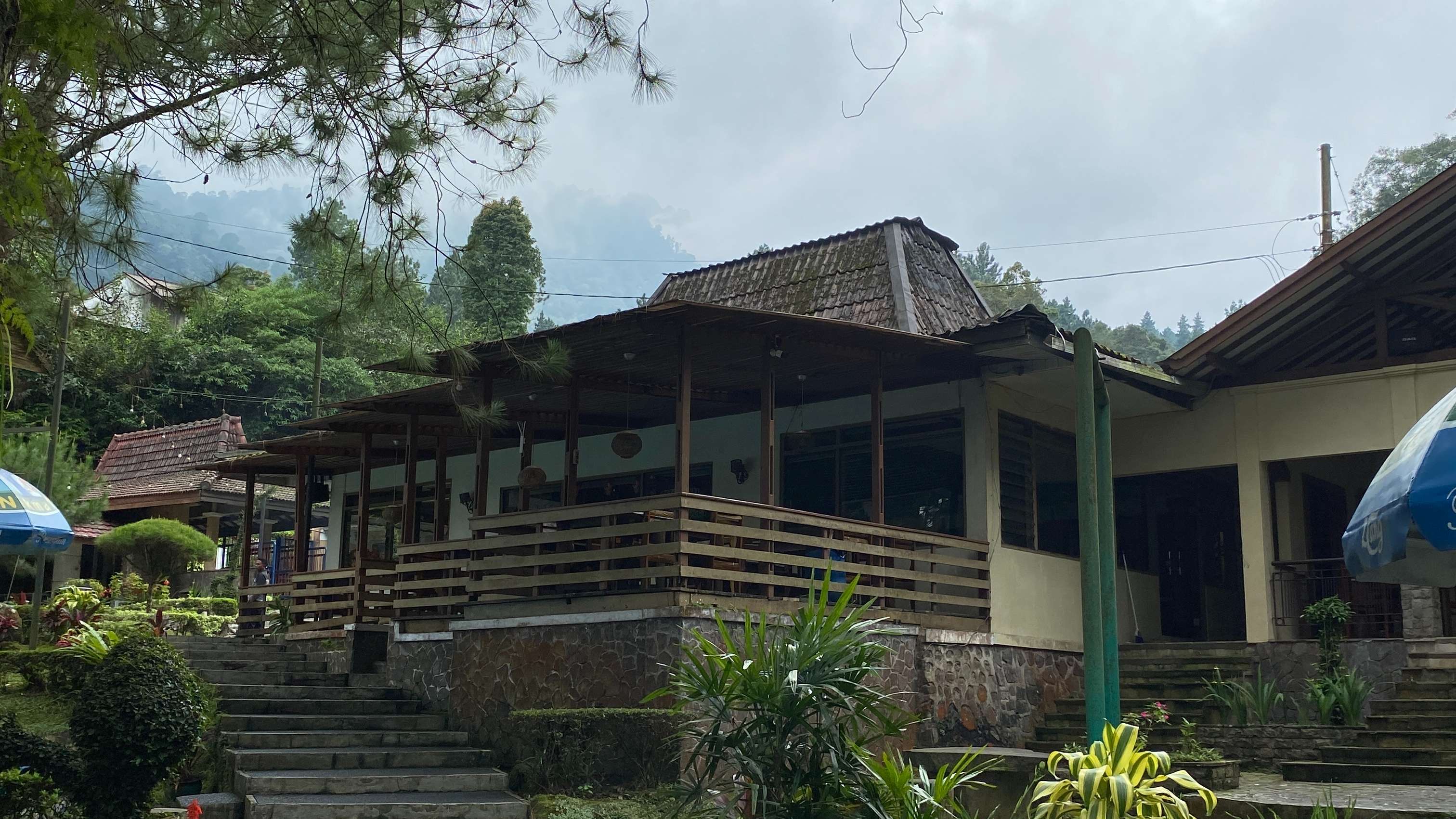 693c1f2ced592.jpg 11